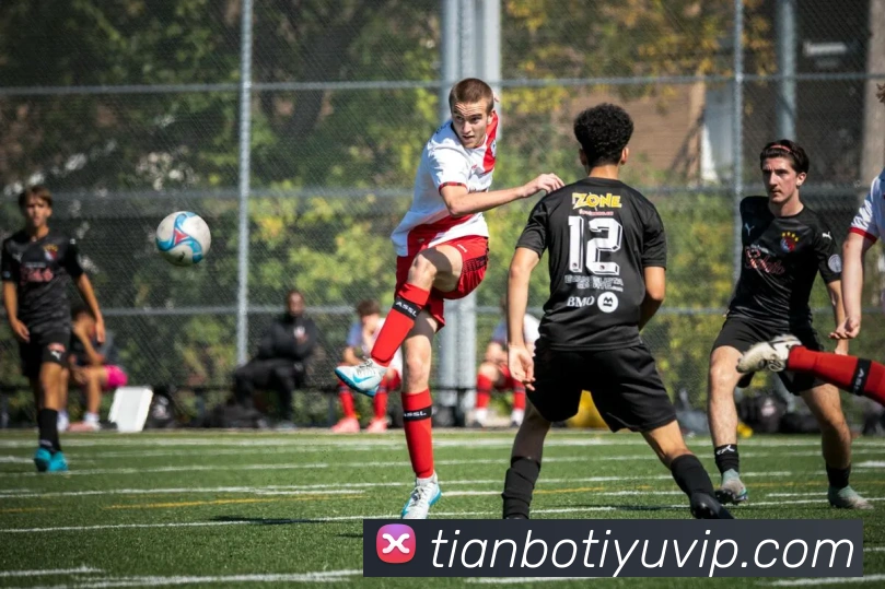 天博体育平台生态图