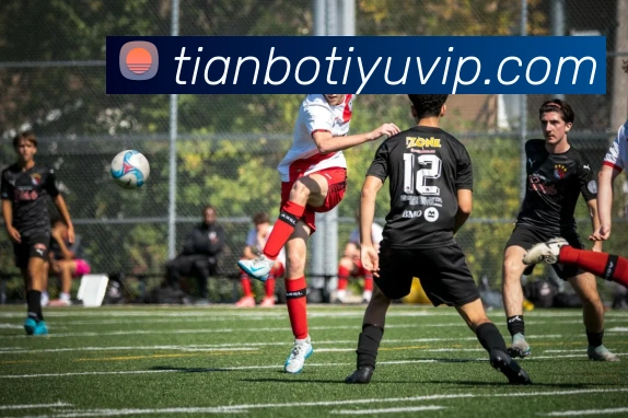 天博体育全站App